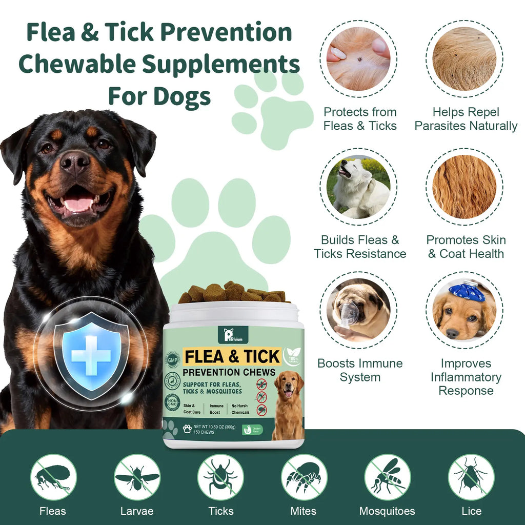150Ct-Petrivium Dog Flea & Tick Support Soft Chews - Natural Oral Supplement - Suitable for All Breeds & Sizes-Chicken Flavor#Summervibes#Petlovers #Tiktokshopspringglowup Sohochic