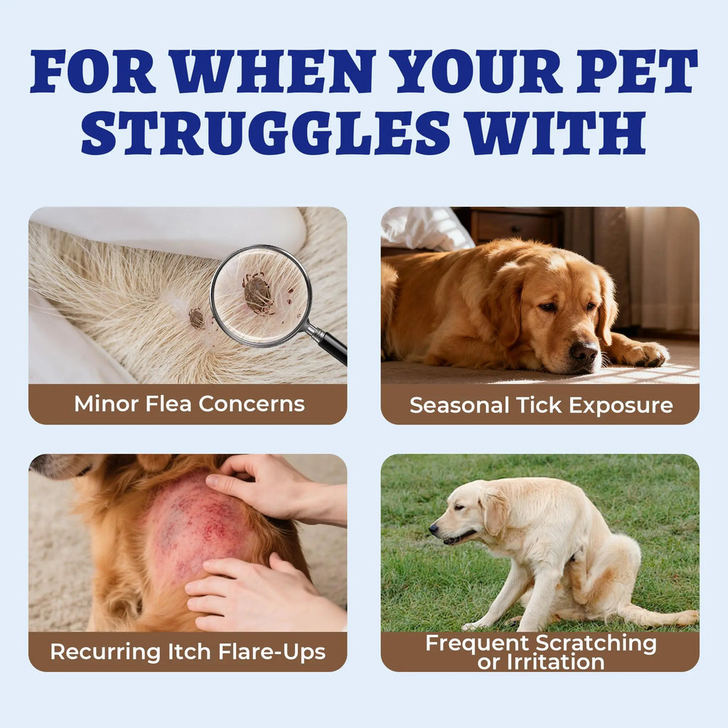 Weliix Dog Flea & Tick Support Soft Chews - Natural Oral Supplement - Suitable for All Breeds & Sizes-Chicken Flavor