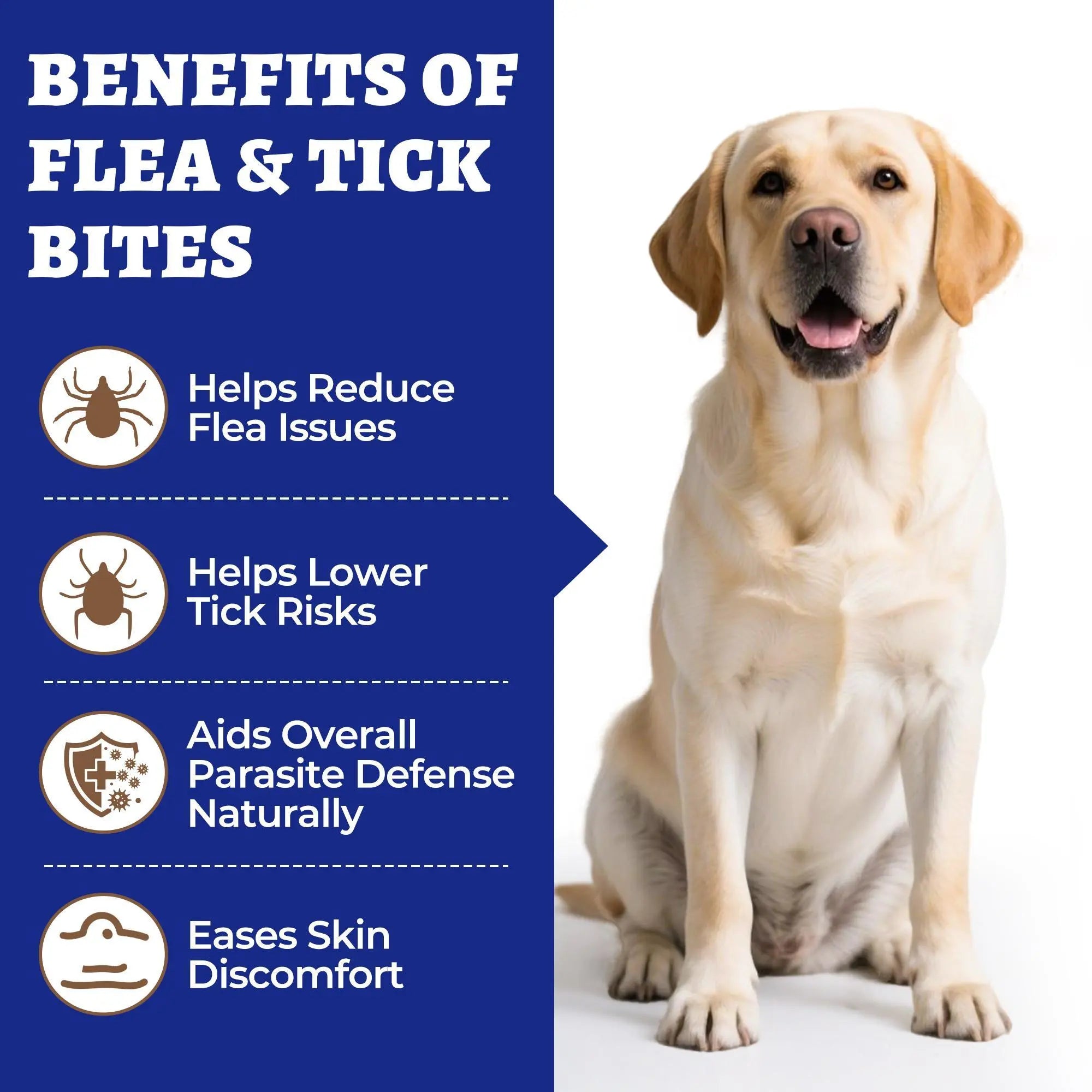 Weliix Dog Flea & Tick Support Soft Chews - Natural Oral Supplement - Suitable for All Breeds & Sizes-Chicken Flavor