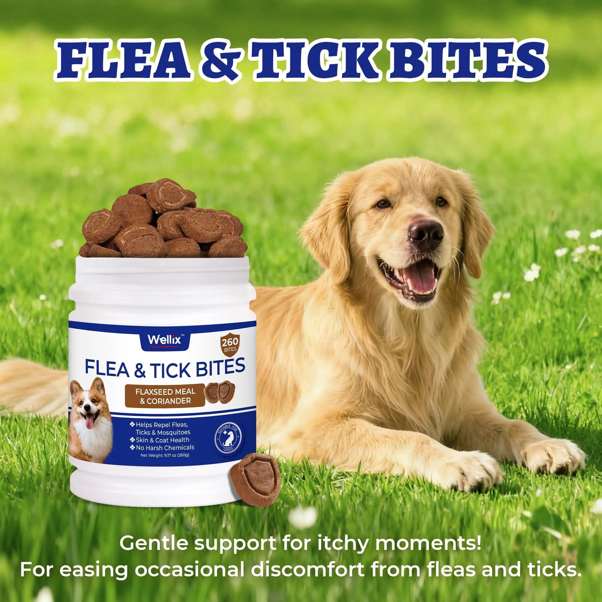 Weliix Dog Flea & Tick Support Soft Chews - Natural Oral Supplement - Suitable for All Breeds & Sizes-Chicken Flavor